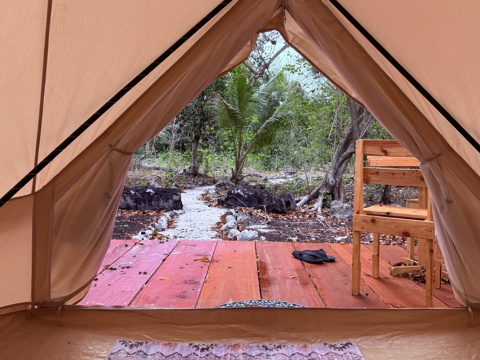 View from inside the glamping tent looking out to the private deck and jungle.