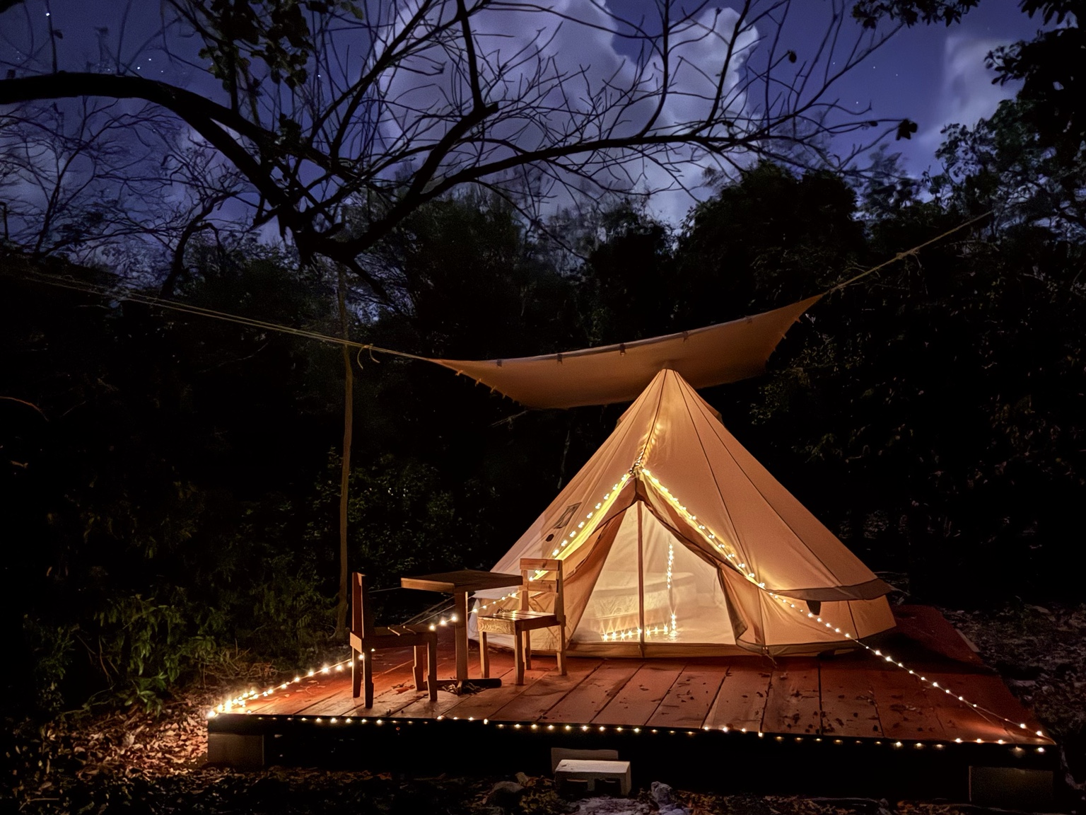 The glamping tent glowing at night under the jungle sky.