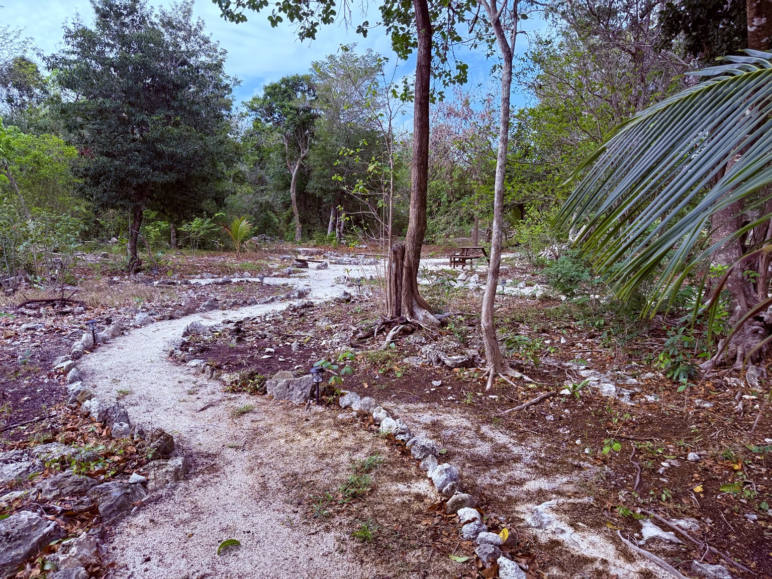 Jungle pathway at Aluxes Jungle Sanctuary.