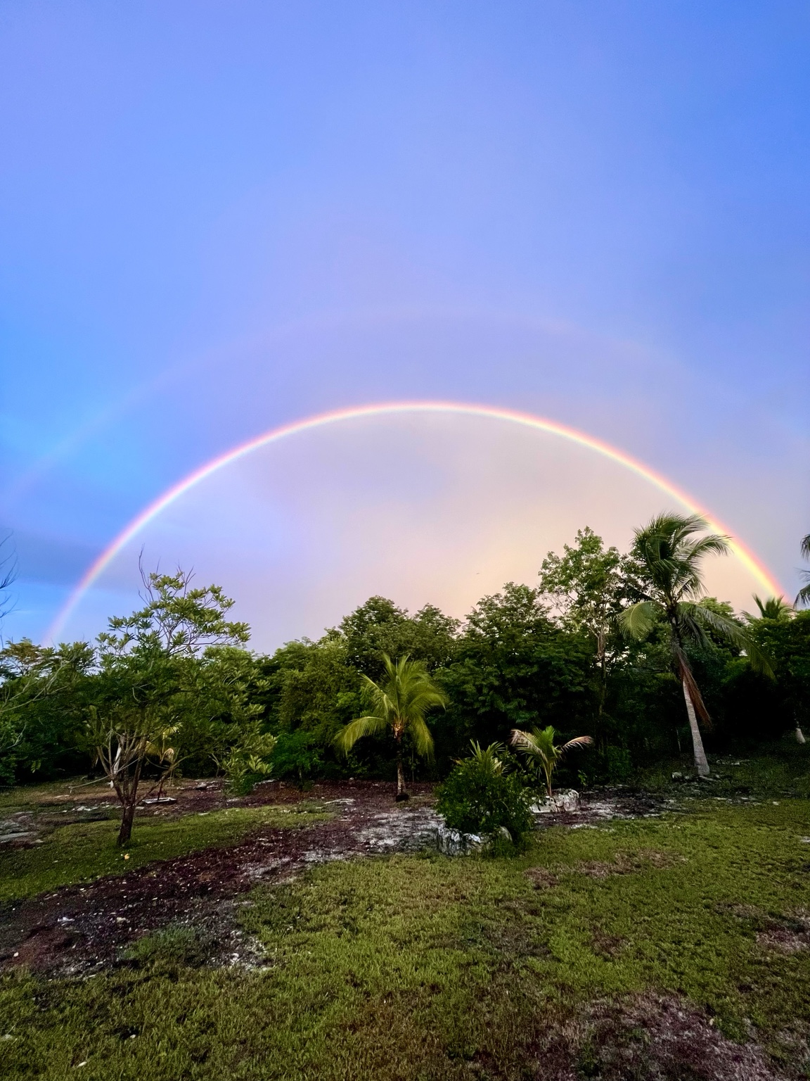 Rainbow over the sanctuary property.